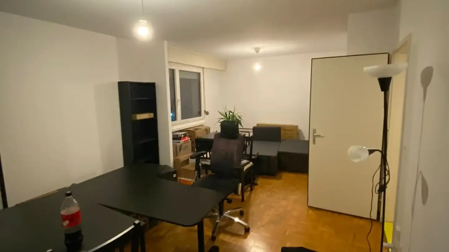 Appartamento ammobiliato in affitto - Wallisellenstrasse 310, 8050 Zürich