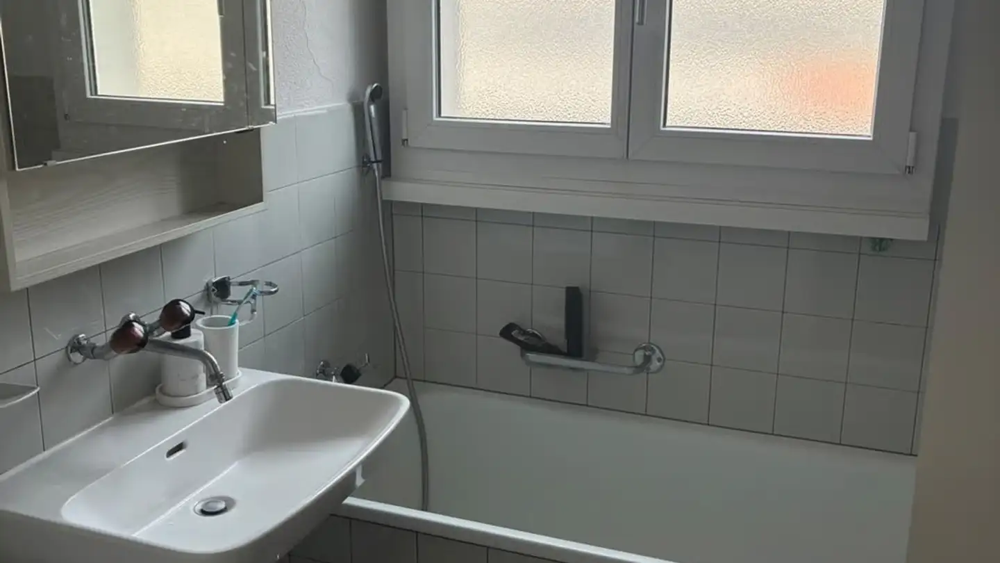 Appartamento ammobiliato in affitto - Wallisellenstrasse 310, 8050 Zürich - Foto 2