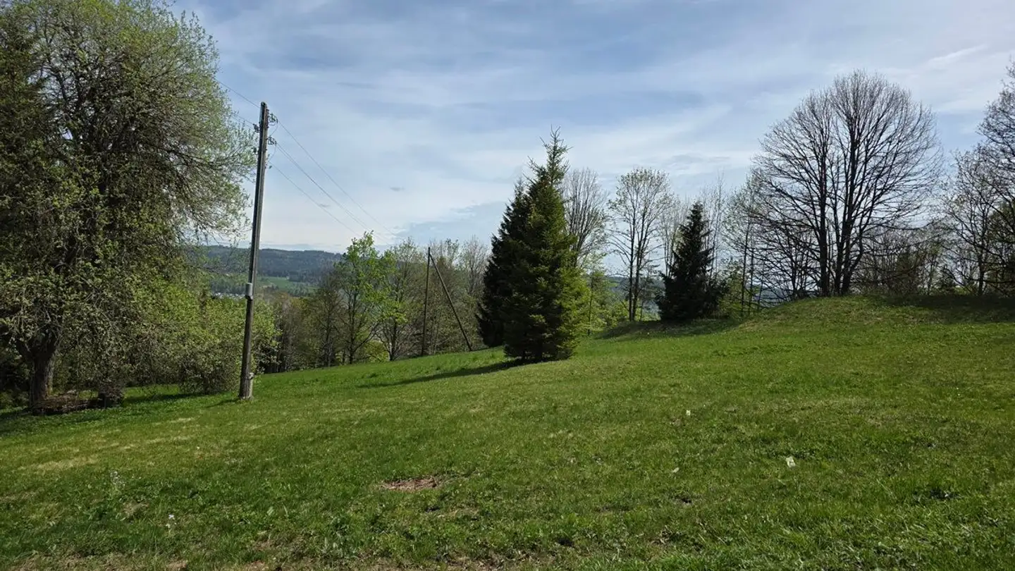 Chalet for sale - 2300 La Chaux-de-Fonds - Photo 4