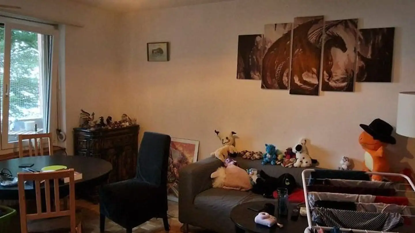 Appartement à louer - Hulfteggstrasse 7, 8400 Winterthur - Photo 3