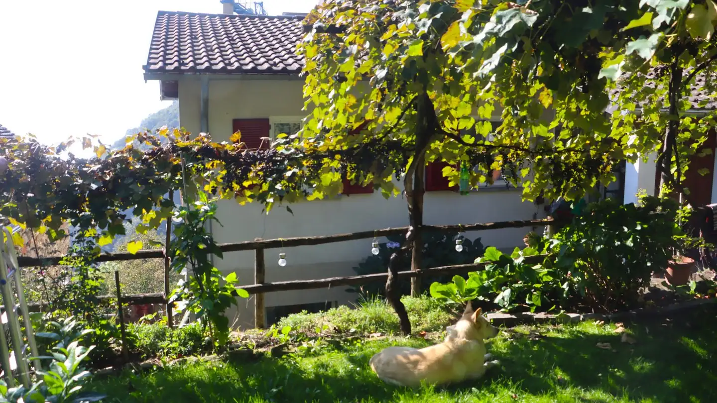 Maison individuelle à vendre - 6647 Mergoscia - Photo 2