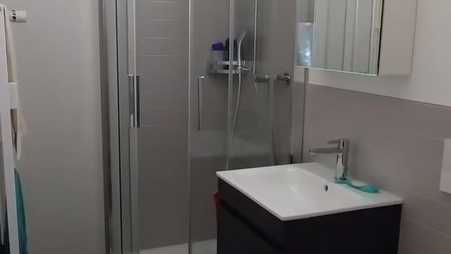 Furnished apartment for rent - 8800 Thalwil - Photo 4