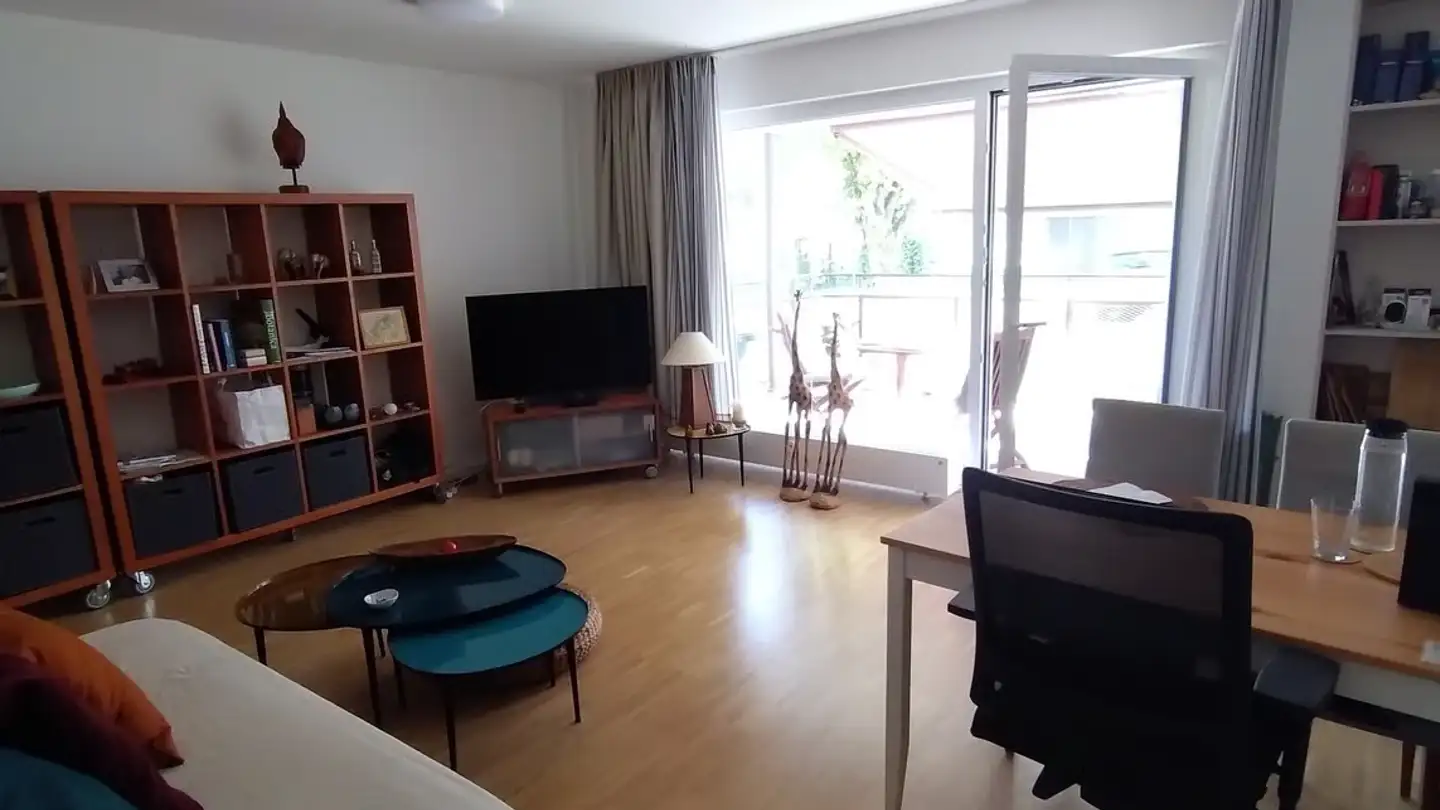 Furnished apartment for rent - 8800 Thalwil