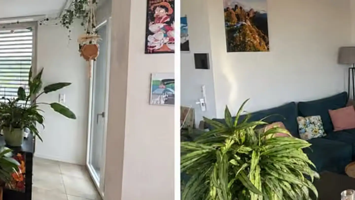 Appartement à louer - Rue Des Frères-Lumière 4, 1723 Marly - Photo 4