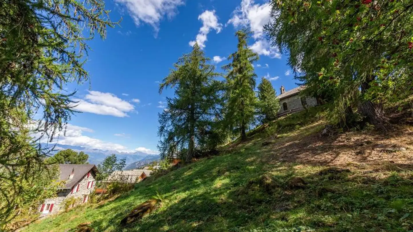 Chalet à vendre - Chemin Des Veillâs, 1997 Haute-Nendaz - Photo 2