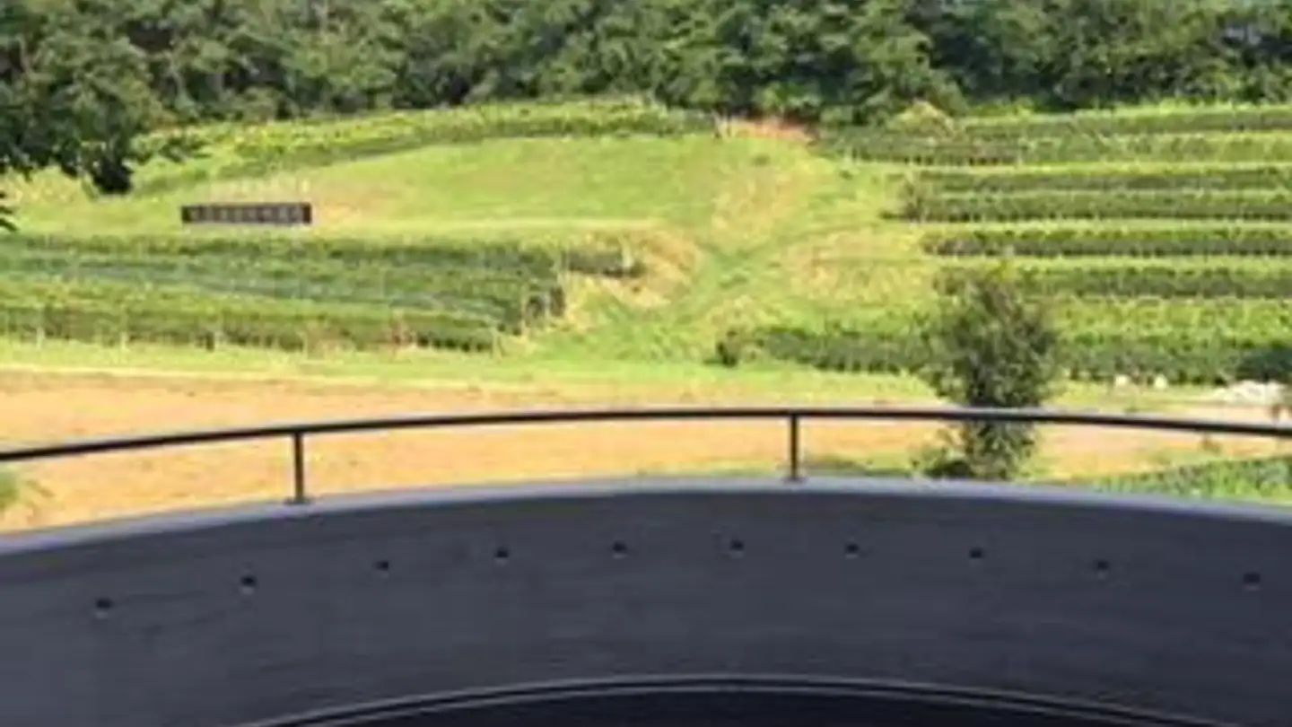 Commercial à louer - 6850 Mendrisio - Photo 2