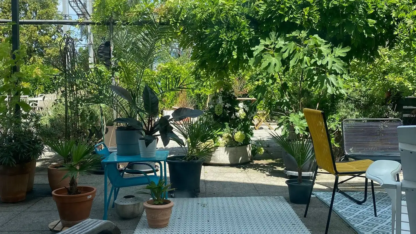 Wohnung mieten - Seestrasse, 8820 Wädenswil - Foto 2