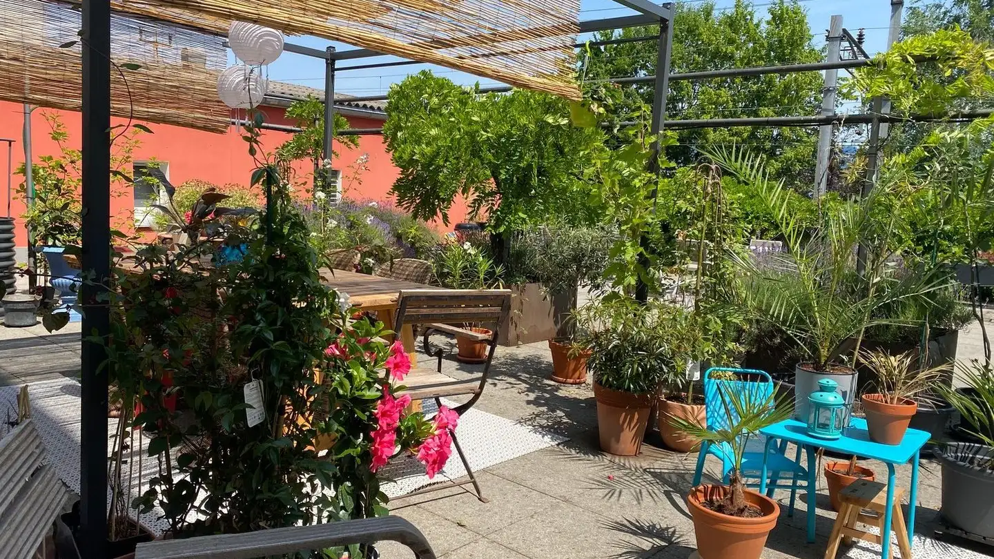 Wohnung mieten - Seestrasse, 8820 Wädenswil - Foto 4