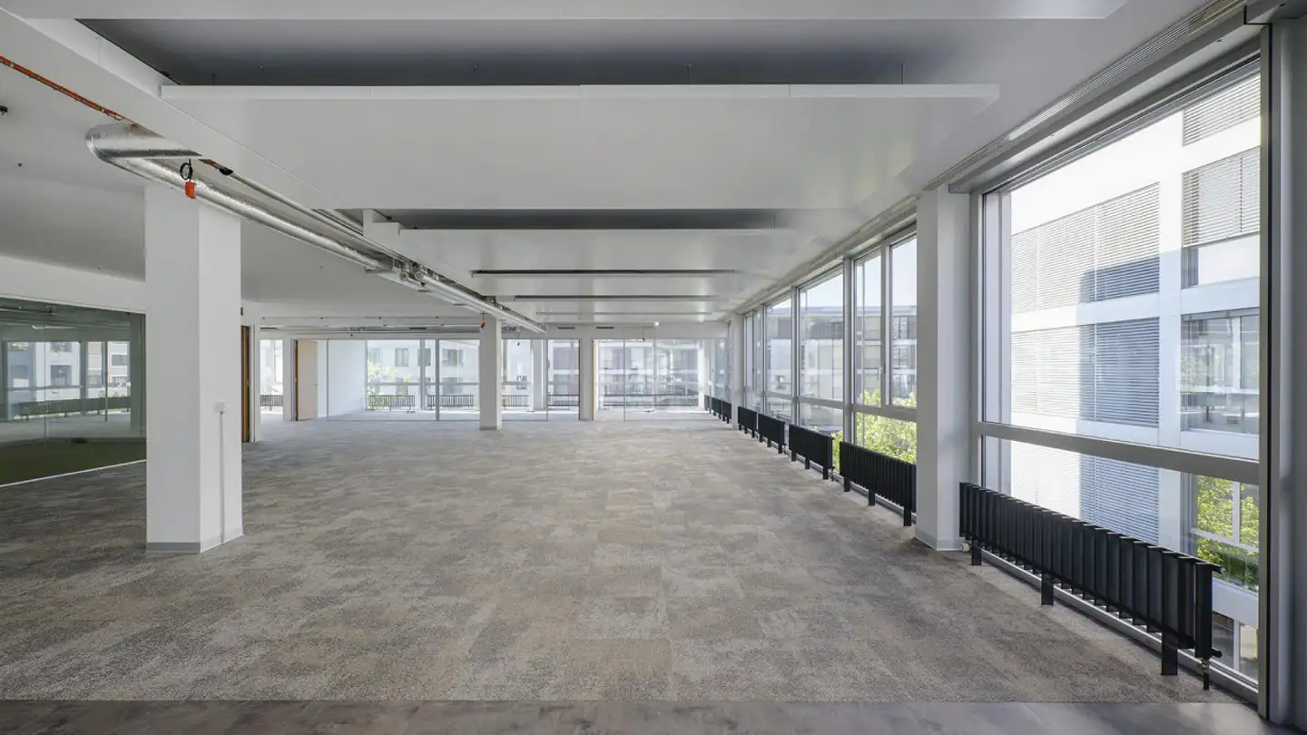 Office space for rent - Hagenholzstrasse 83, 8050 Zürich - Photo 3