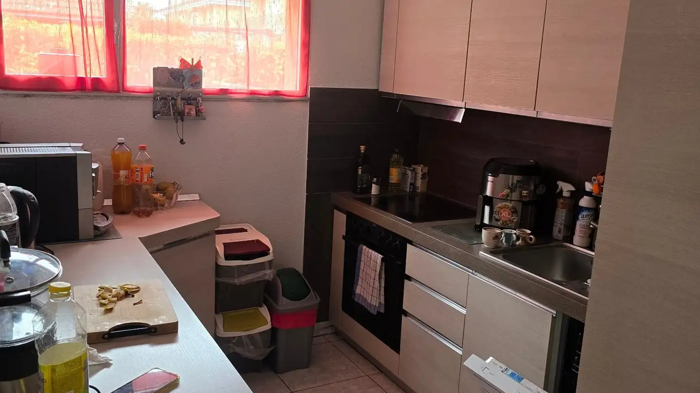 Appartement à vendre - Via Ginnasio 5, 6710 Biasca - Photo 2