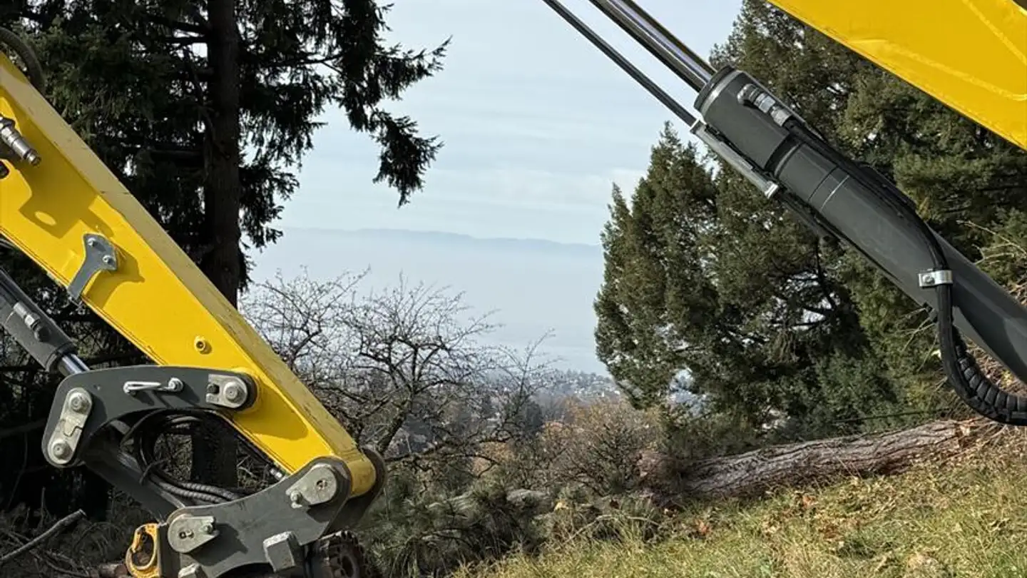 Single house for sale - 1807 Blonay