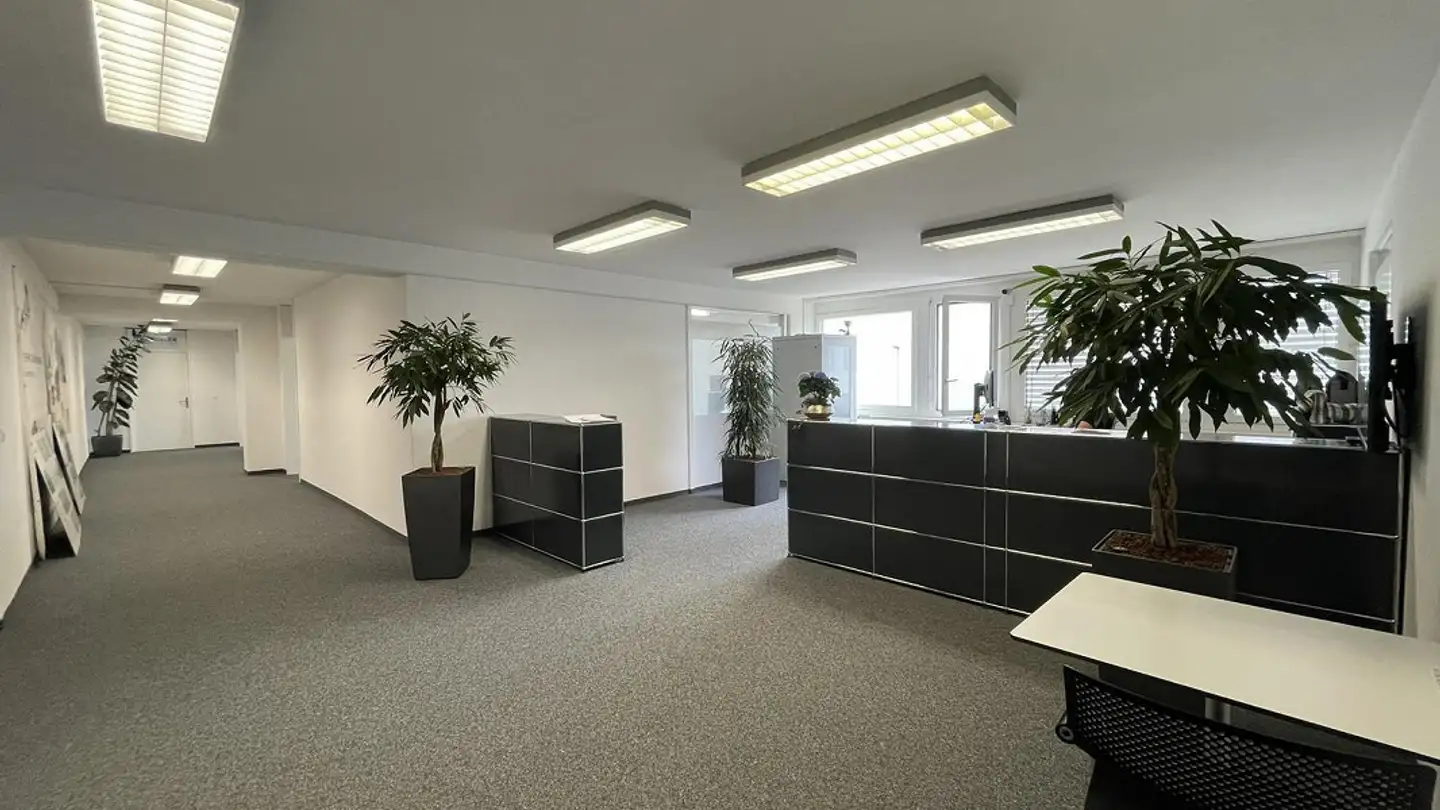 Office space for rent - Hertistrasse 8, 8304 Wallisellen