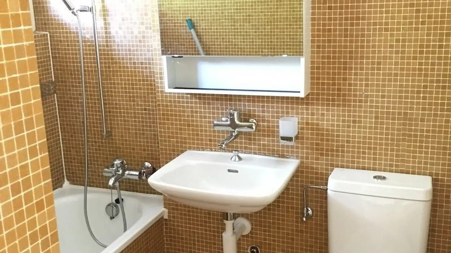 Appartamento in affitto - In Den Seewiesen 12, 8132 Egg b. Zürich - Foto 3