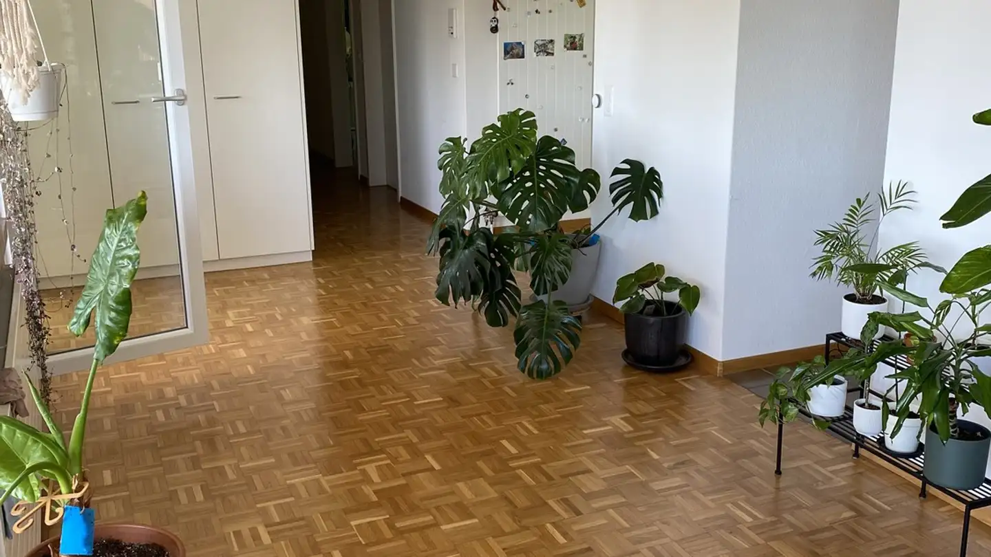 Stanza singola in affitto - Alte Hedingerstrasse 25B, 8910 Affoltern am Albis
