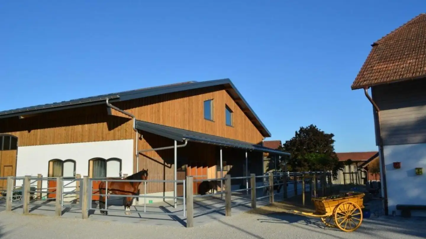 Riding hall for sale - Route De La Côte-Aux-Moines 36, 1584 Villars-le-Grand - Photo 3