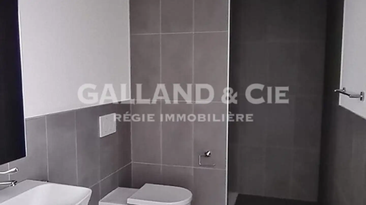 Appartamento in affitto - Rue De Gottefrey, 1907 Saxon - Foto 4