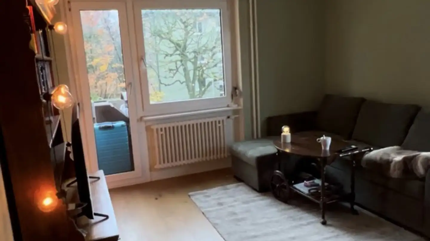 Chambre à louer - 8050 Zürich