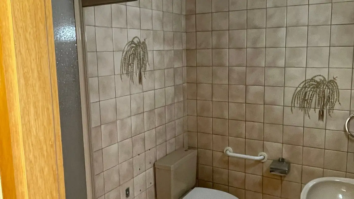 Appartamento in affitto - Chemin Du Tsalé 15, 1619 Les Paccots - Foto 4