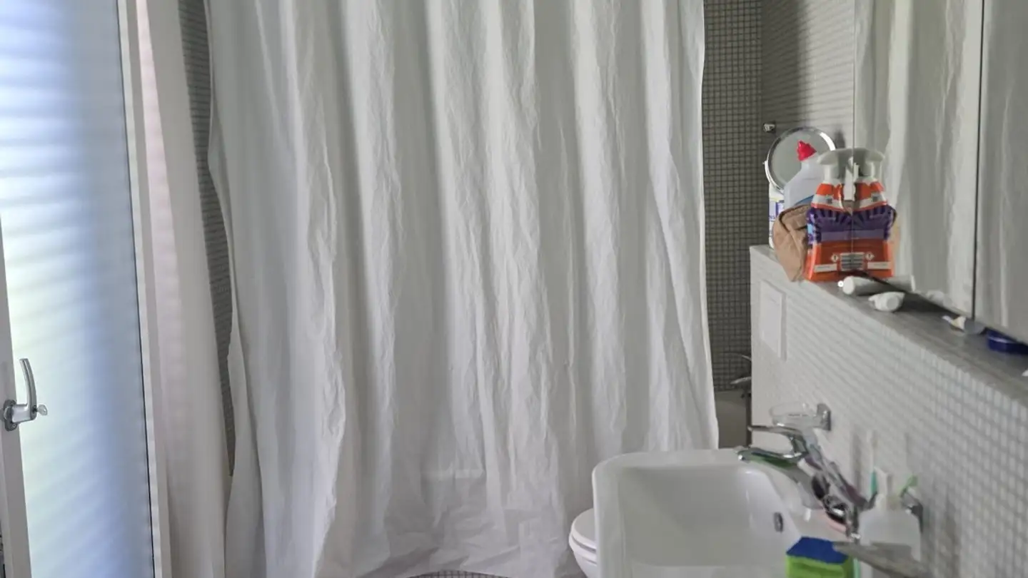 Appartamento in affitto - Sonnenbergstrasse 62, 8603 Schwerzenbach - Photo 3