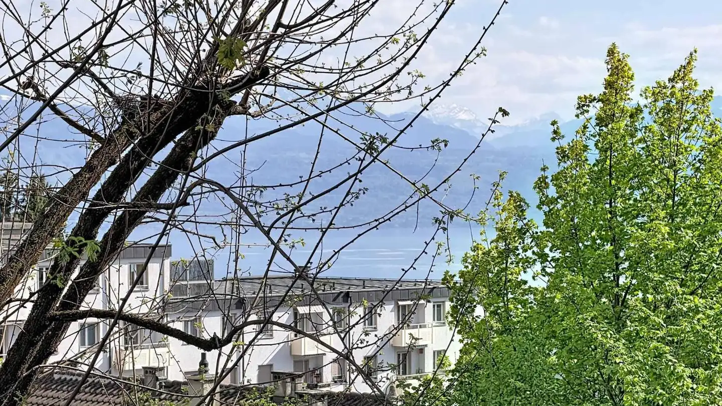 Apartment for sale - 1012 Lausanne