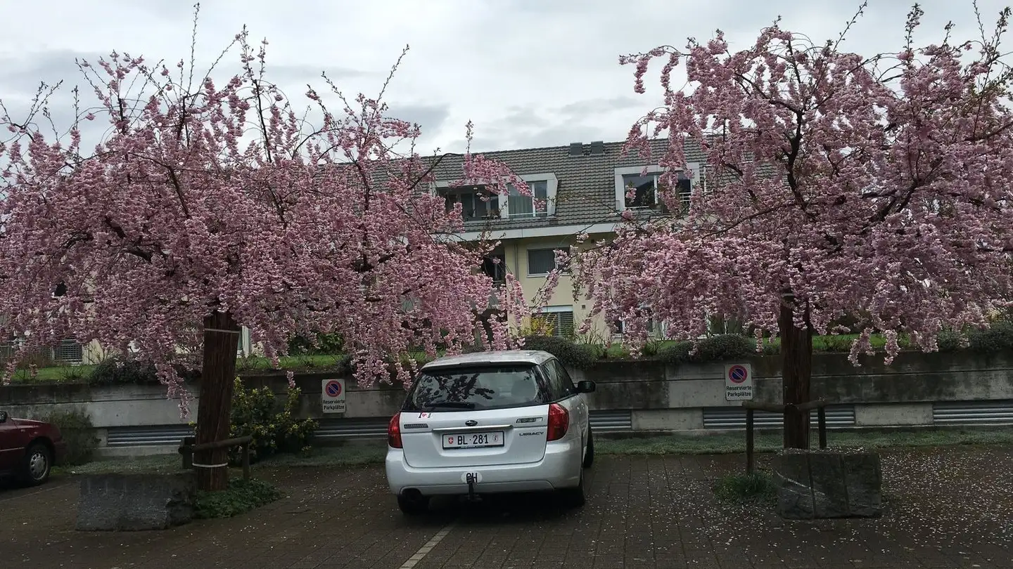 Wohnung mieten - Landskronweg 26, 4107 Ettingen