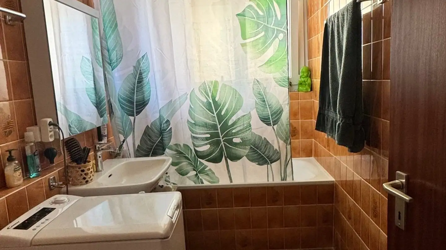 Appartement à louer - Via Delta, 6612 Ascona - Photo 4