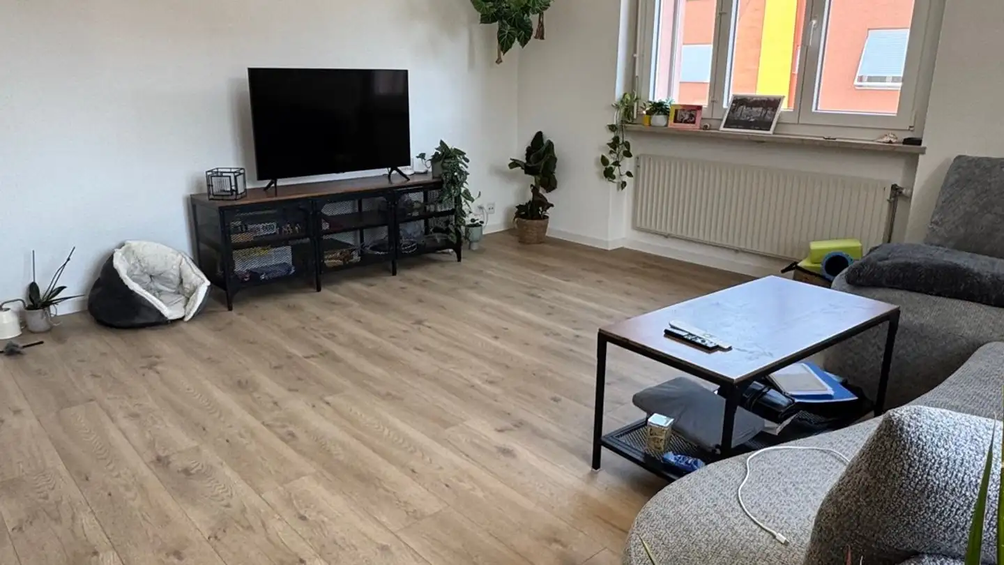 Appartement à louer - Via Delta, 6612 Ascona - Photo 2