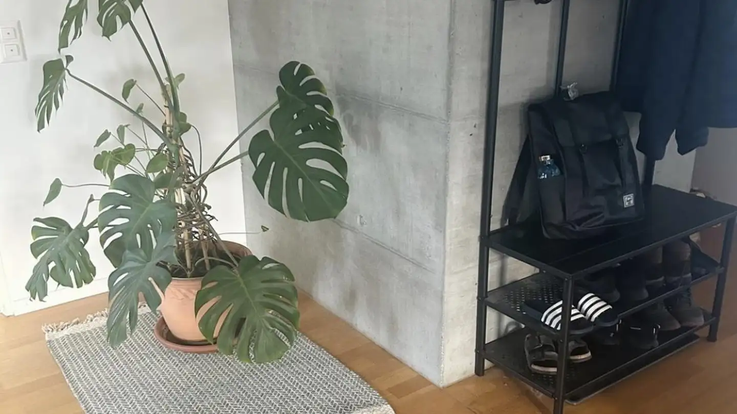 Single room for rent - Untere Bahnhofstrasse 4, 8640 Rapperswil SG - Photo 2