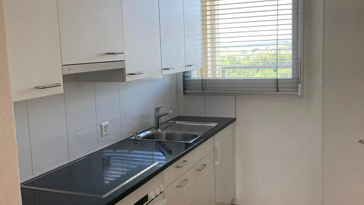 Apartment for rent - Luchswiesenstrasse 220, 8051 Zürich - Photo 2