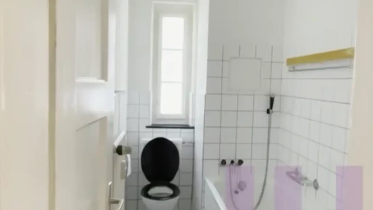 Chambre à louer - 8003 Zürich - Photo 4