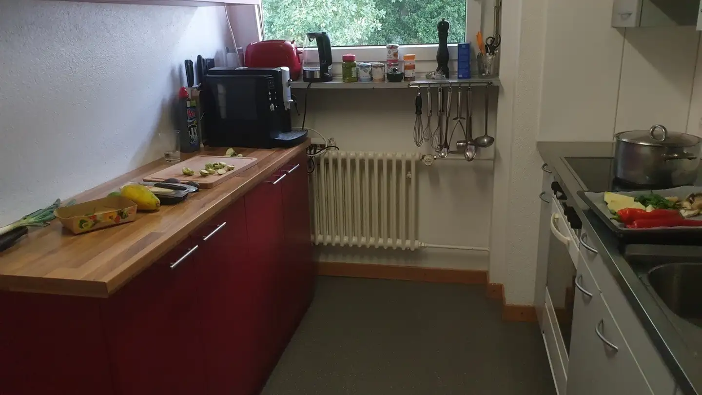 Zimmer mieten - Wildenstrasse 9, 8049 Zürich - Foto 3