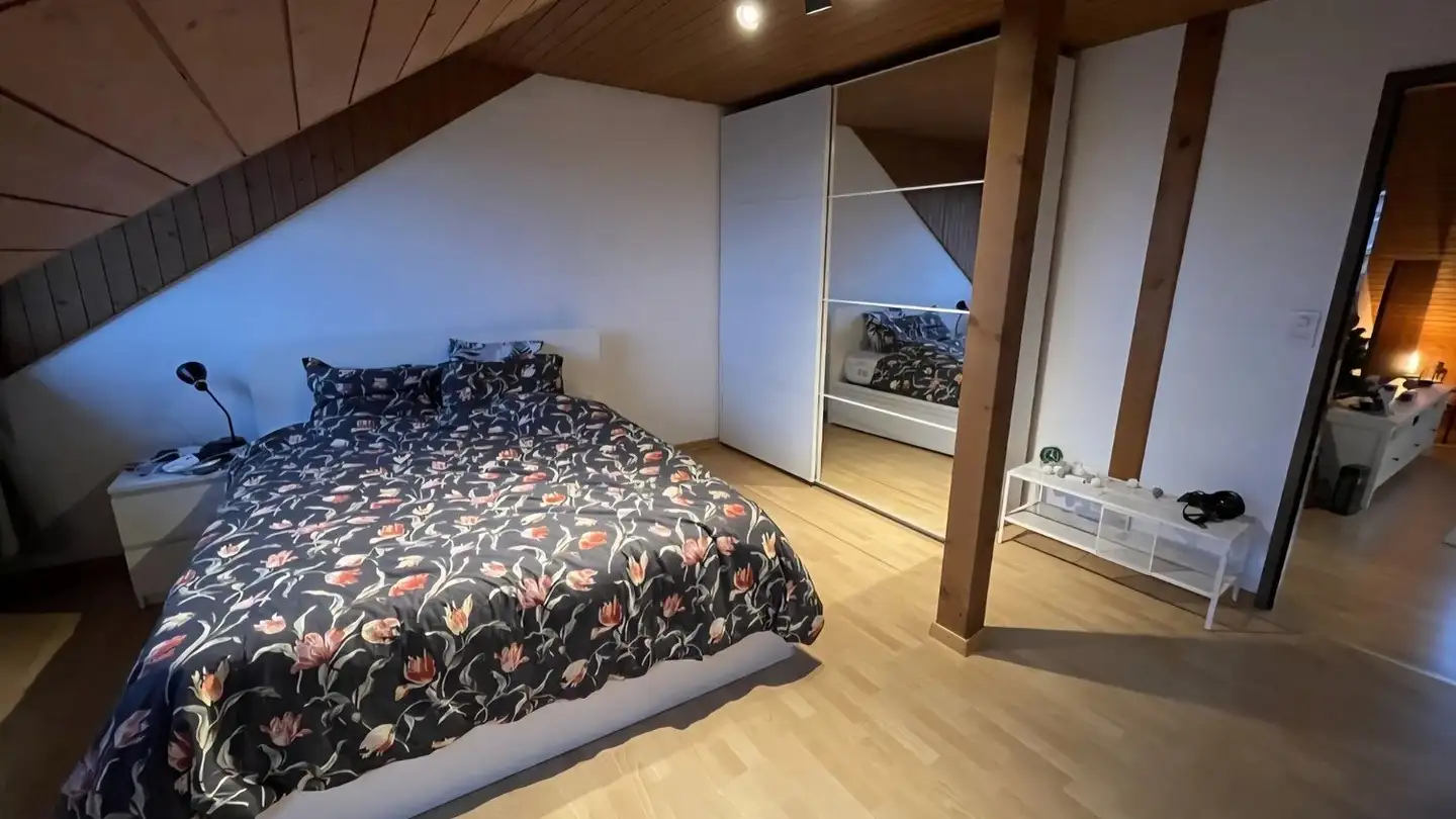Chambre à louer - Schaffhauserstrasse, 8050 Zürich