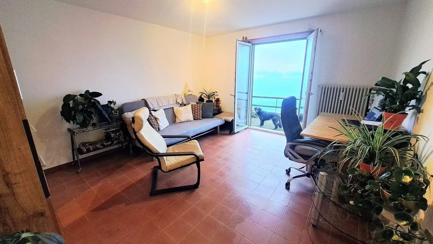 Casa singola in affitto - 6605 Locarno - Foto 4