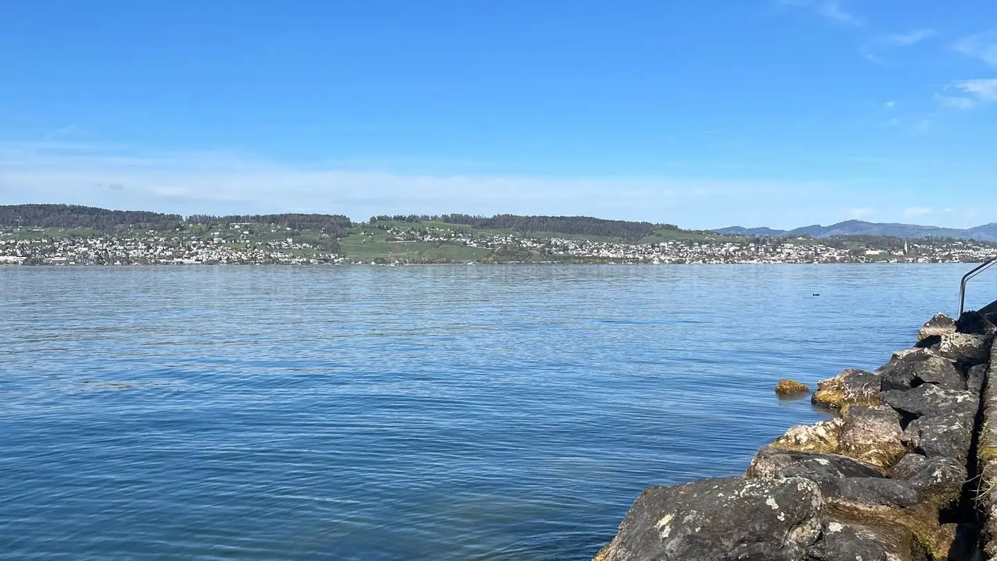 Duplex in vendita - 8820 Wädenswil