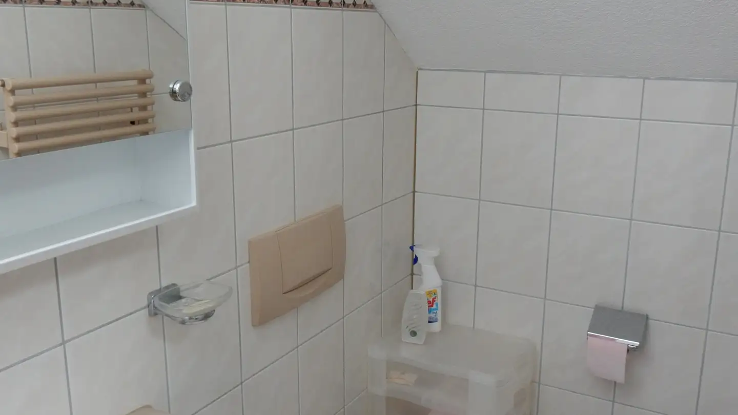 Attico in affitto - Heimgartenweg 6, 4123 Allschwil - Photo 3