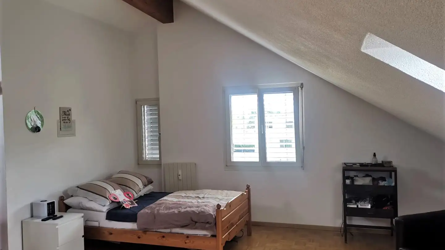 Attico in affitto - Heimgartenweg 6, 4123 Allschwil - Photo 4