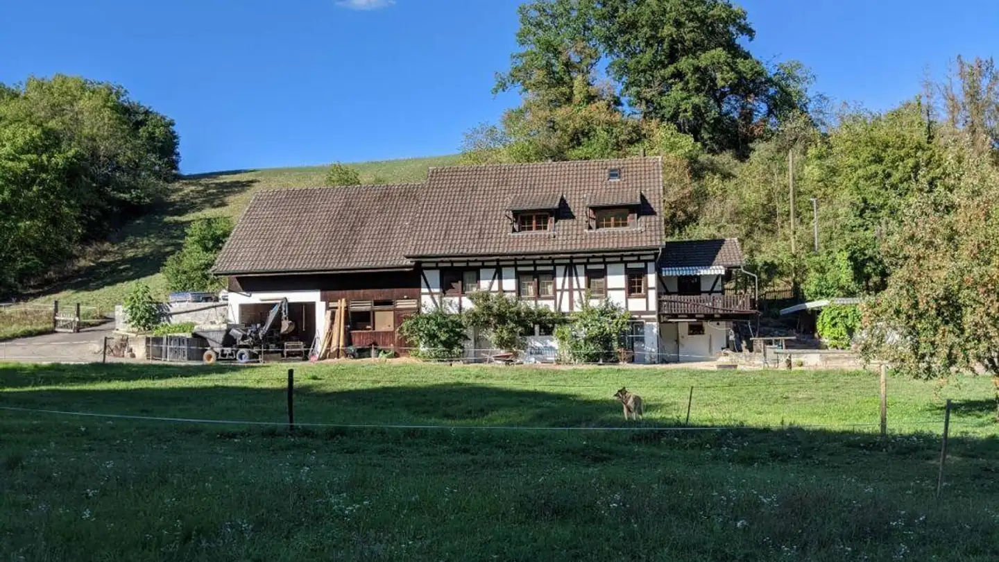 Commercial for sale - 8193 Eglisau