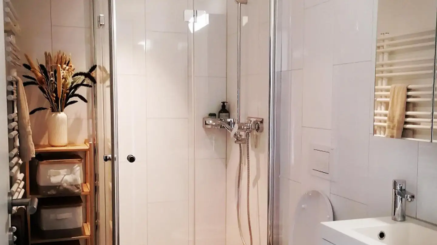 Appartamento in affitto - 8165 Schleinikon - Foto 4