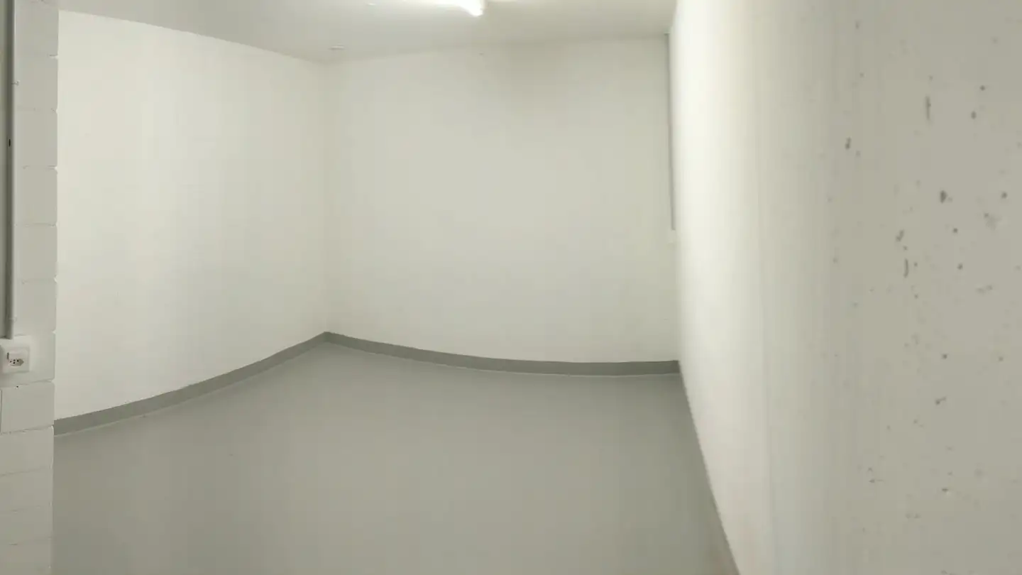 Commercial for rent - 8912 Obfelden