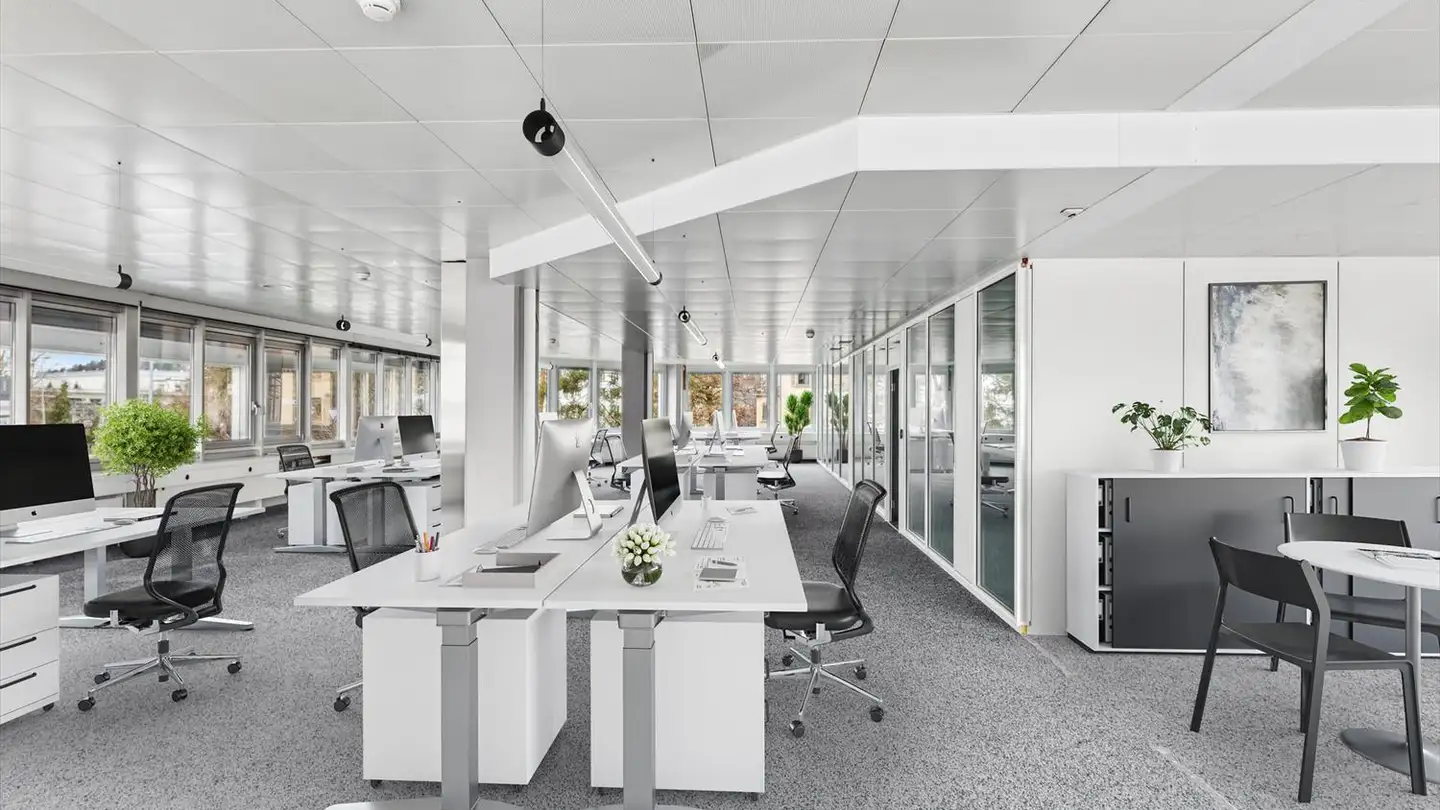 Spazio ufficio in affitto - Spinnereistrasse 8, 9008 St. Gallen - Foto 3