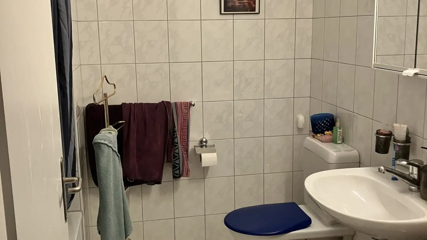 Appartamento in affitto - 8442 Hettlingen - Foto 4