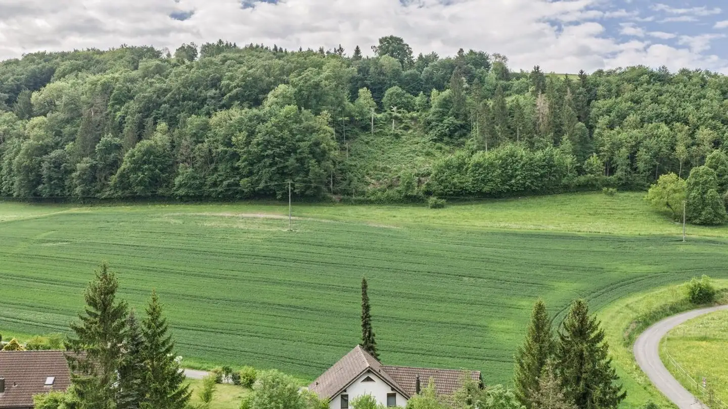 Constructible plot for sale - 5026 Densbüren - Photo 4