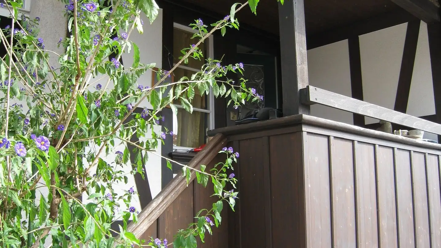 Appartamento a gradini in affitto - Breitenriedstrasse 2, 3115 Gerzensee - Photo 3