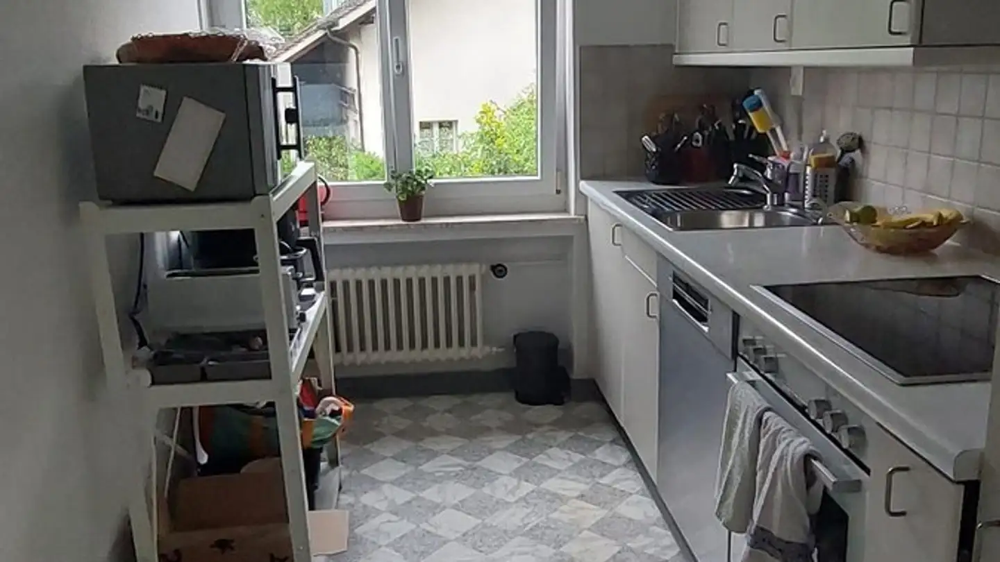 Single room for rent - Austrasse 1, 8134 Adliswil - Photo 2