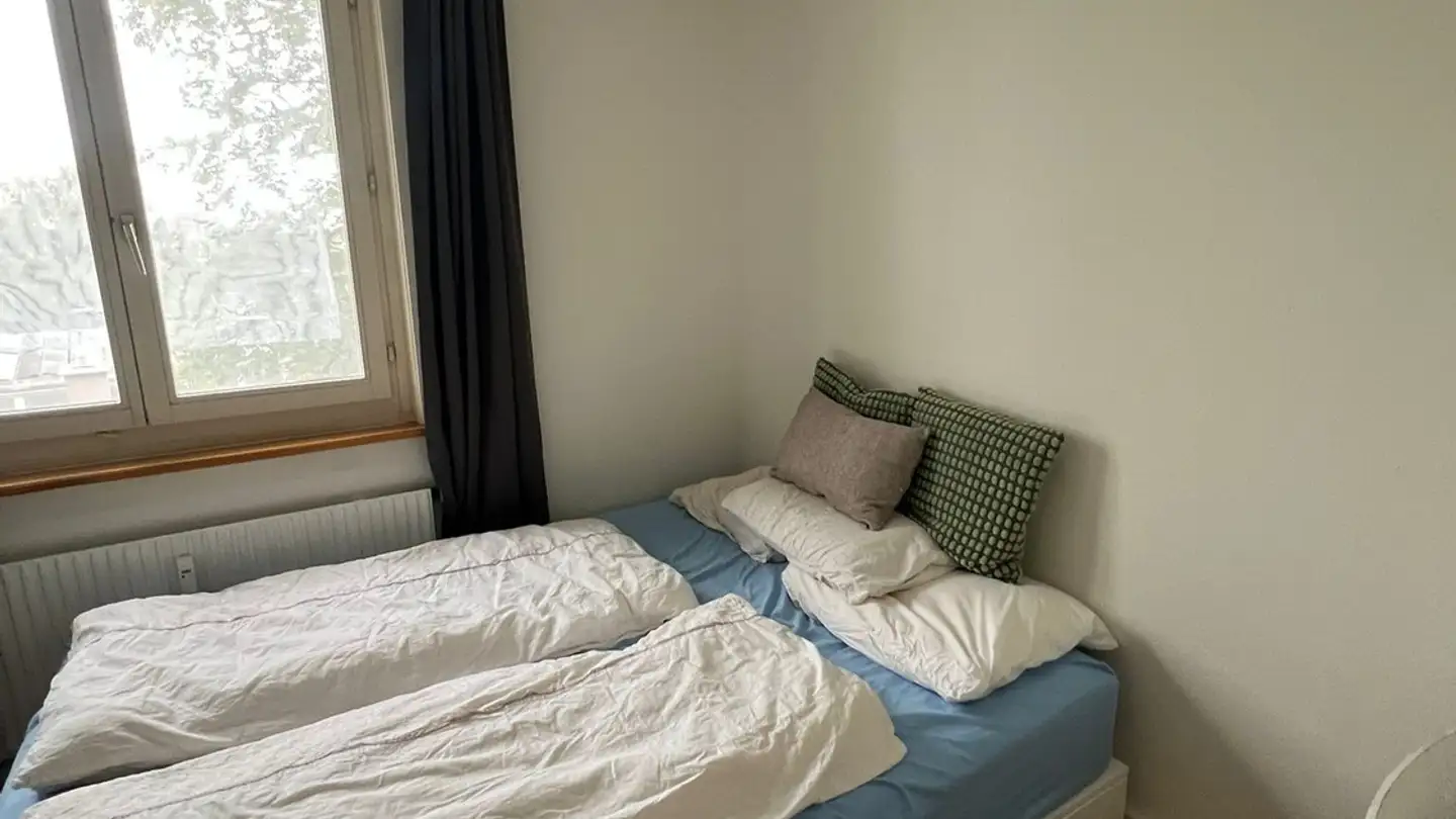 Chambre à louer - Magdalenenstrasse 45, 8050 Zürich - Photo 3