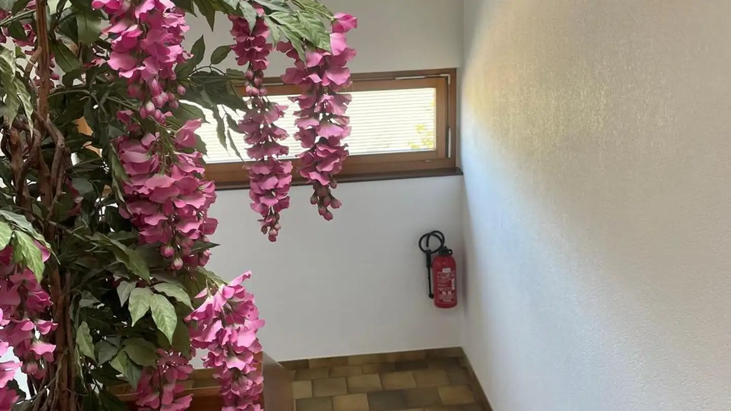 Wohnung kaufen - 2854 Bassecourt - Foto 4