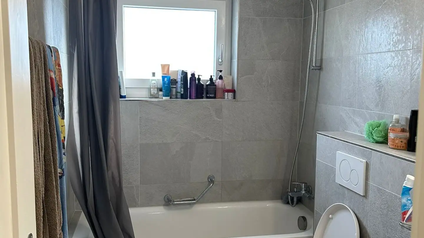 Chambre à louer - Badenerstrasse 582, 8048 Zürich - Photo 4