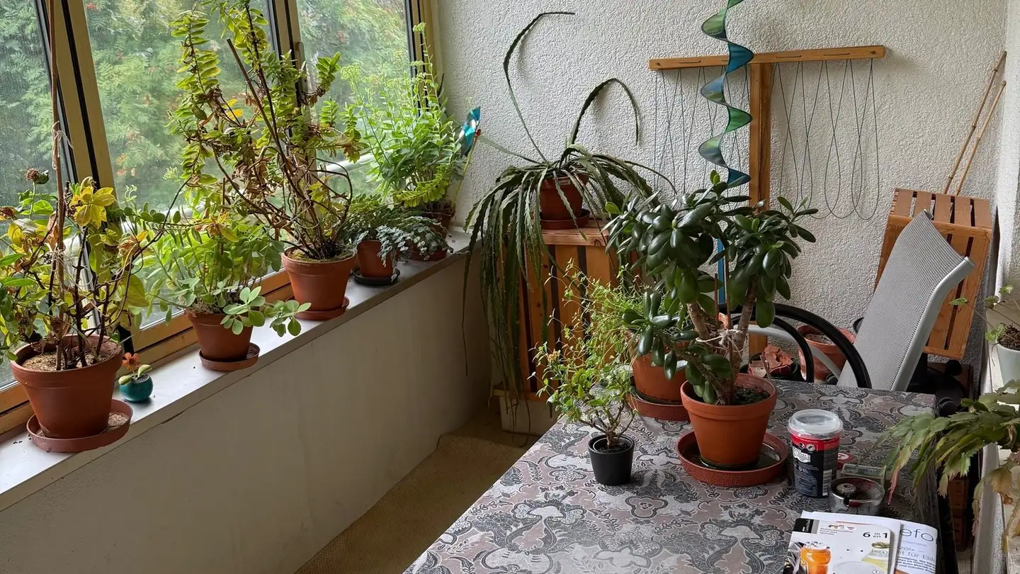 Apartment for rent - Kuppelstrasse 1, 8800 Thalwil