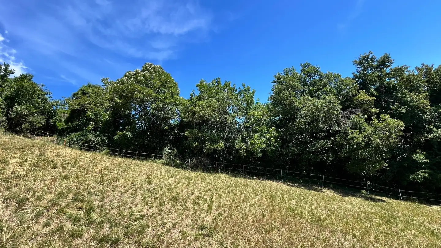 Terrain constructible à vendre - 1966 Signèse (Ayent) - Photo 4