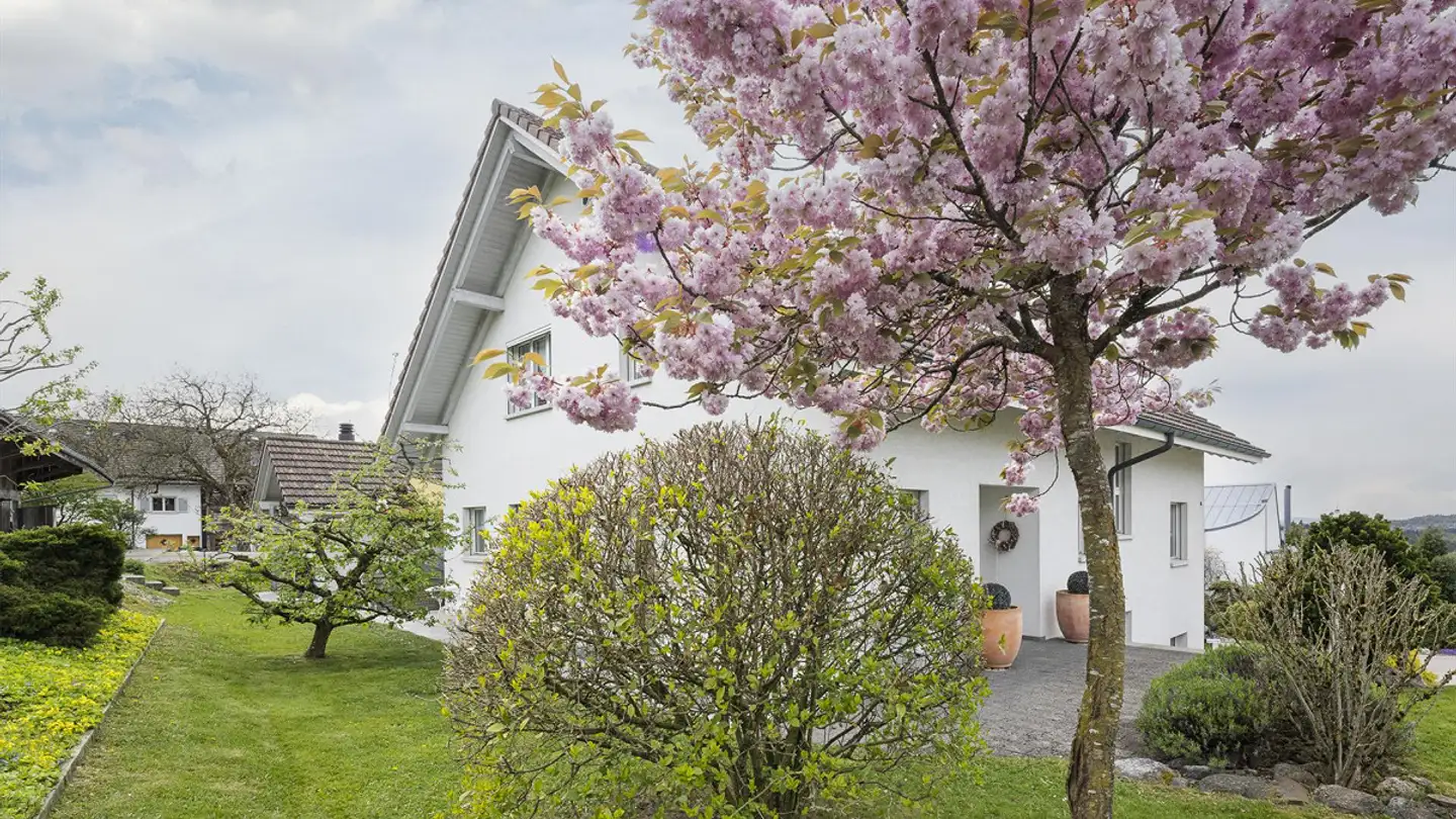 Single house for sale - Schrammweg 8, 8905 Islisberg - Photo 3